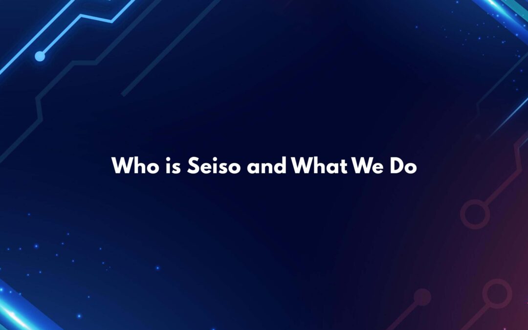 Who is Seiso and What We Do