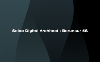 Seiso Digital Architect: Berunsur 5S